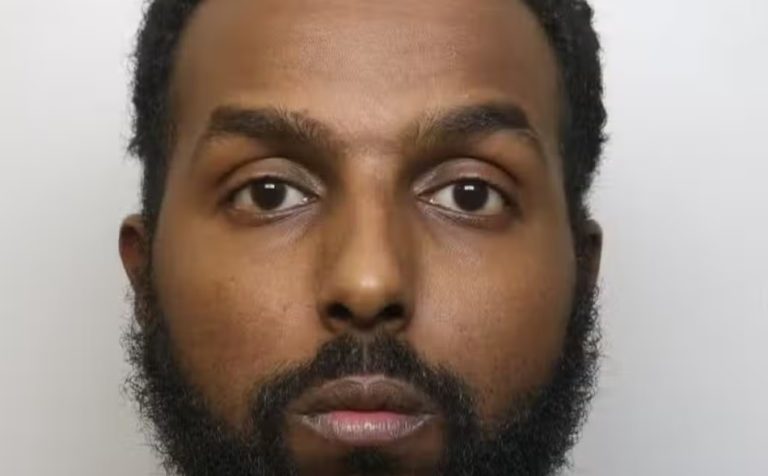 Abdulrizak Ali Hersi sexually assaulted girl 13 on Tube in front of her family